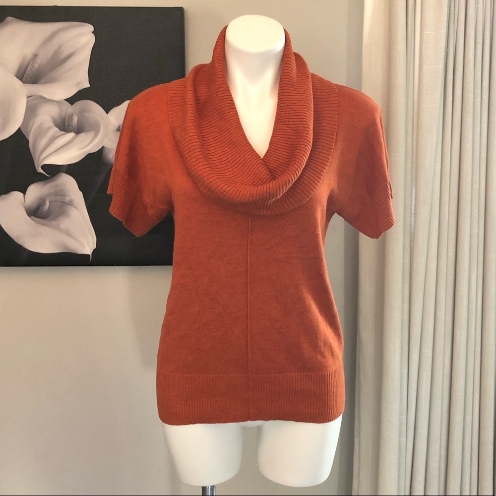 Shortsleeved cowl neck sweater